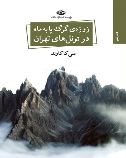کتاب زوزه‌ی گرگ پا به ماه در تونل‌های تهران